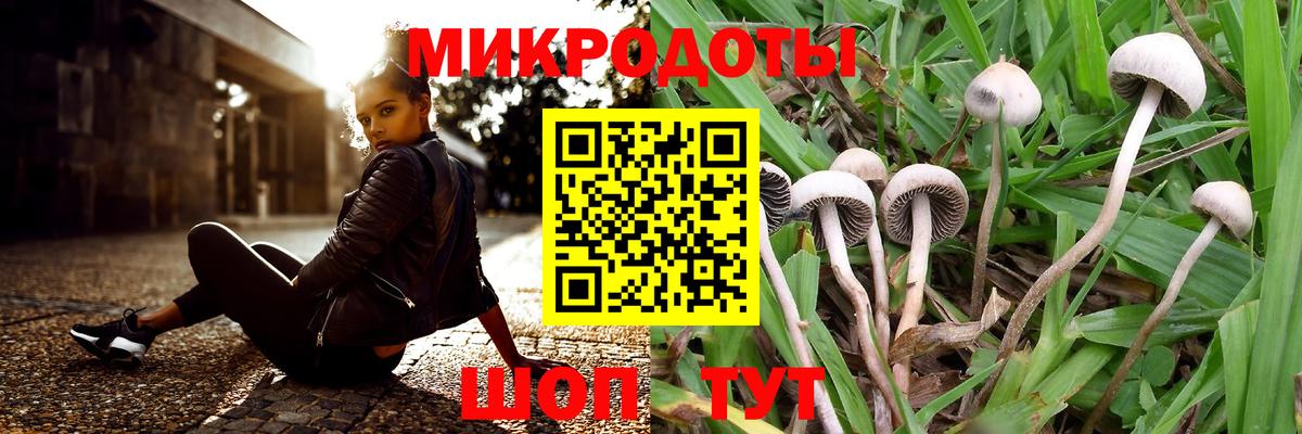 Туапсе  Псилоцибиновые грибы прущие грибы  Вход с VPN 